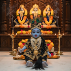 Platinium Silicon Laddu Gopal